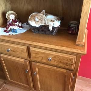 Meet your Posher, Steven